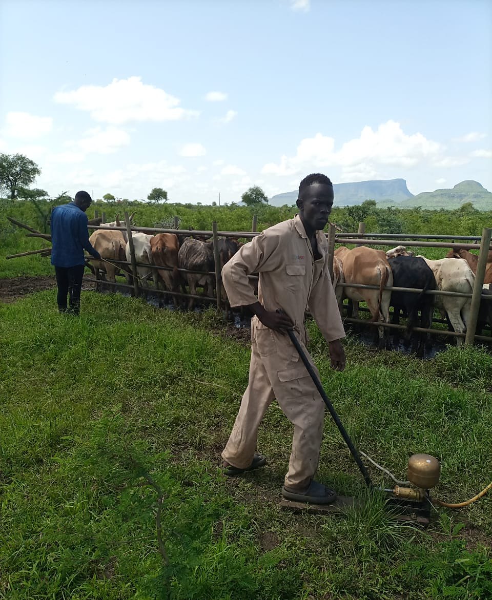 Protecting livestock health
