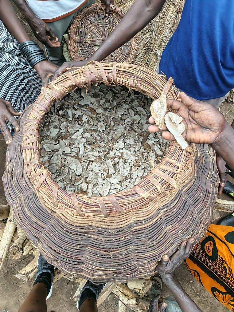 Preserving the harvest